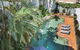 Coral Tree Inn - thumb 18