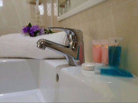 Novena Palms Motel - Accommodation Asia 2