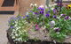 Manitzky Magic -B&B Home With Heart - thumb 8
