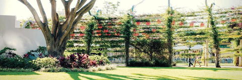 Vine Apartments South Brisbane - Accommodation Asia 19