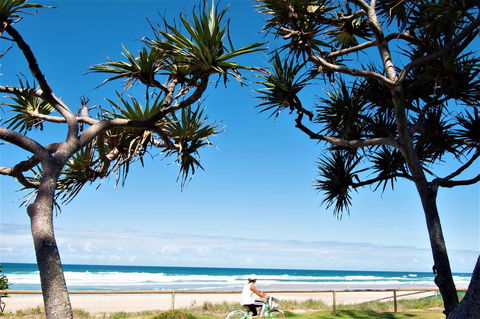 Grande Florida Beachside Resort - Accommodation Asia 34