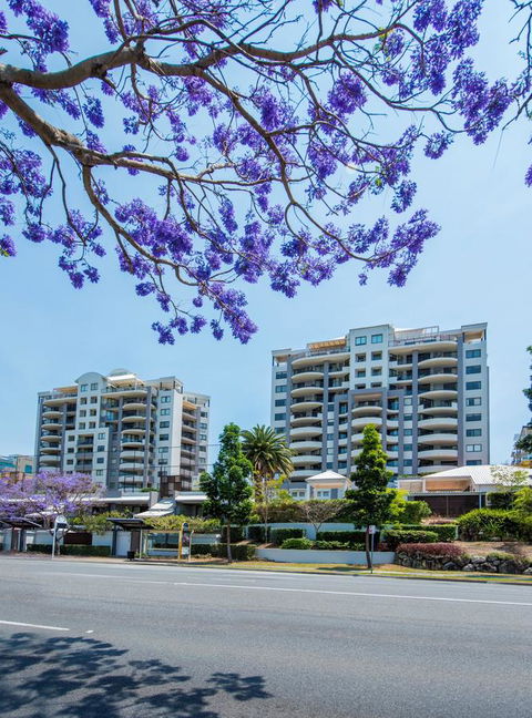 The Oasis Apartments - Accommodation Guide 2