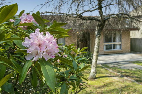 Wentworth Rose - Accommodation Asia 2