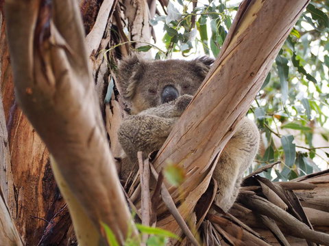 WHITE SHELLS HOLIDAY RENTAL - Accommodation Asia 1