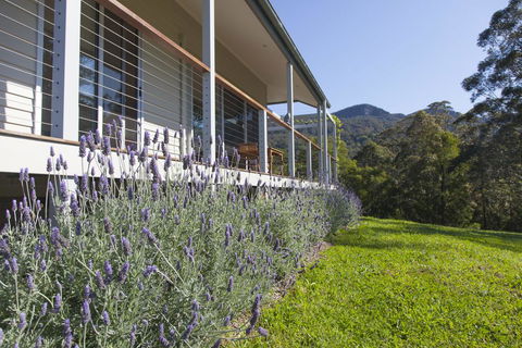 Wilderberry Cottage - Accommodation Asia 3
