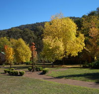 Willowlake Cottages - Accommodation Asia