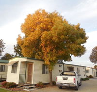 Wodonga Caravan  Cabin Park - Accommodation Asia