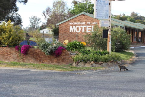 Woomargama Motel - Accommodation Asia 3