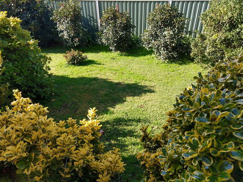 Young Goldrush Motel - Accommodation Guide 3