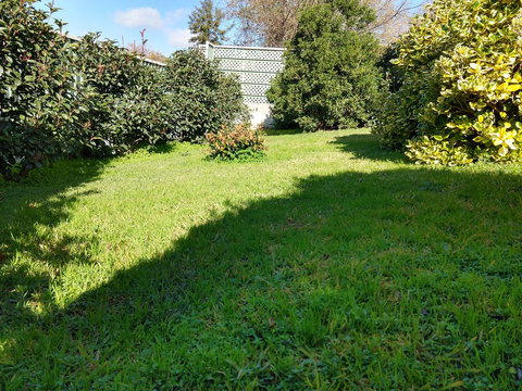 Young Goldrush Motel - Accommodation Guide 2