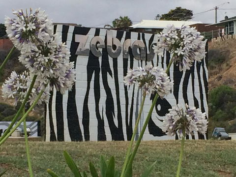 Zebras Guest House Geraldton - Accommodation Guide 0