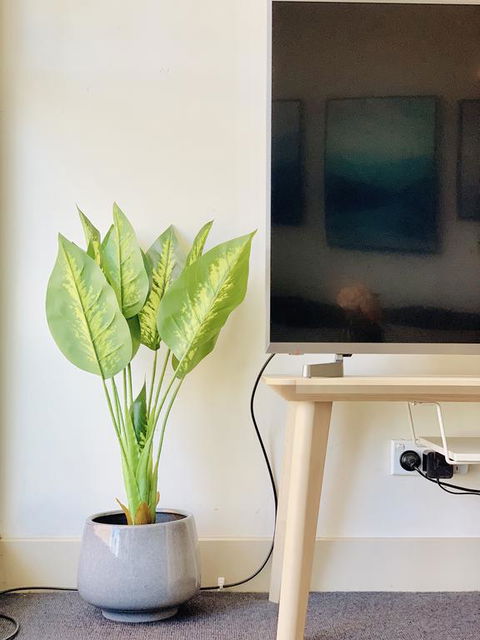 ZEN Homes On Collins - Accommodation Guide 3