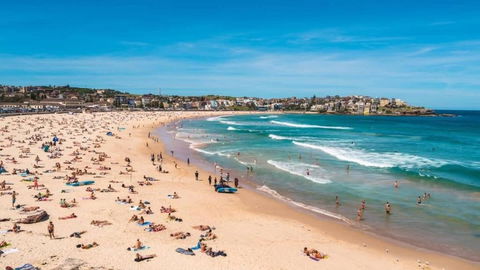 A Lovely Beach Studio 5min Walk To Bondi Beach - Accommodation Guide 2