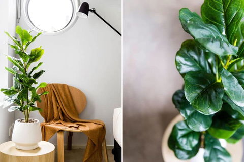 A Stylish 2BR Apt Next To Vic Market FREE Parking - Accommodation Guide 4