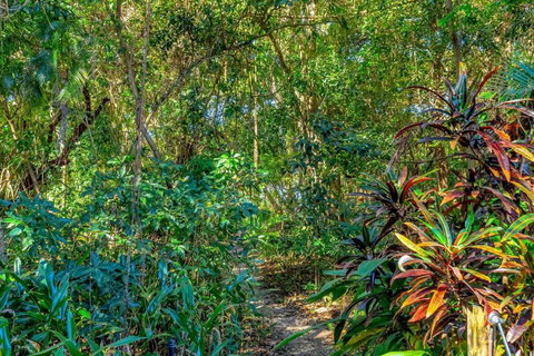 Absolute Beachfront, Heart Of Port Douglas - 24 S - Accommodation Asia 3