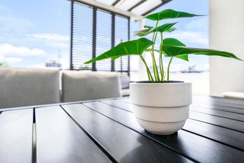 Accent On McLeod - Breezy Outdoor Living - Accommodation China 0