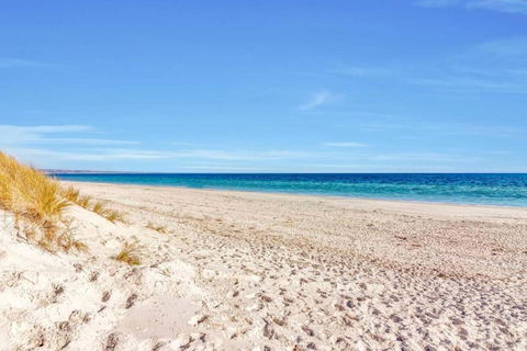 Adventure Awaits - Footsteps From West Beach - Accommodation Guide 4