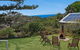 Ahoy Cottage By Discover Stradbroke - thumb 2