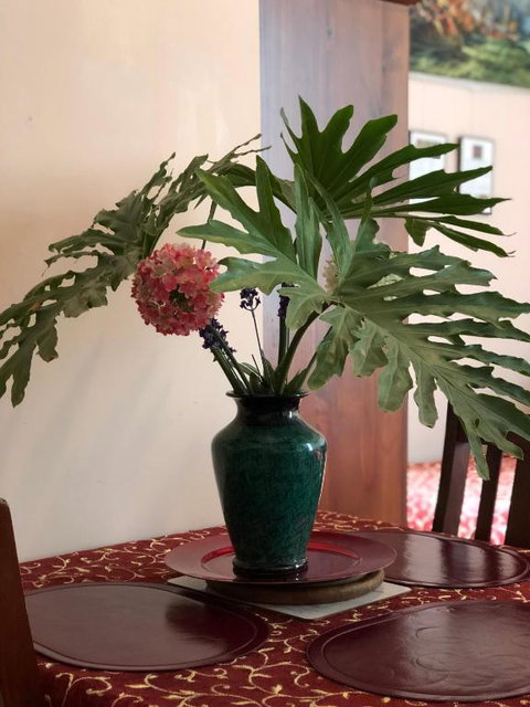 Albany Foreshore Guest House - Accommodation Asia 2