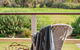 Aldinga Bay Bungalow Ocean View Retreat - thumb 1