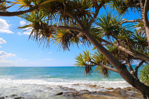Alex Heads Beachfront Resort 2 Bedroom Apartment - Accommodation Guide 3