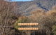 Alpine Inn - thumb 1
