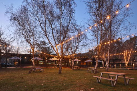 Alpine Inn - Accommodation Guide 4