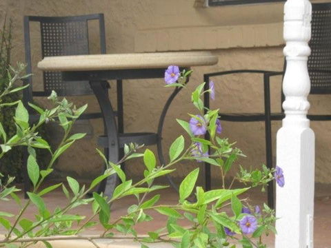 Amalie Cottage Waikerie Unit 1 - Accommodation Guide 2