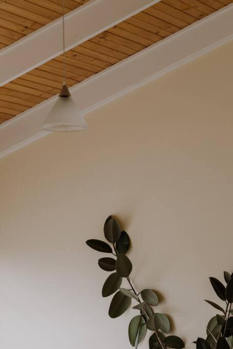 Amarela Haus - Calming Retreat Within Oceans Reach - Accommodation Asia 1