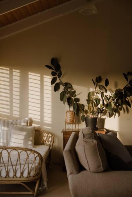 Amarela Haus - Calming Retreat Within Oceans Reach - Accommodation Asia 2