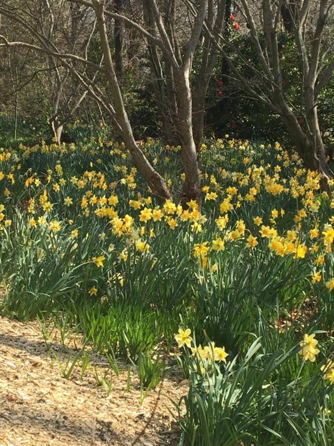 Amaroo Guesthouse - Accommodation Asia 0