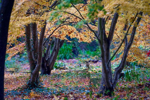 Amaroo Guesthouse - Accommodation Asia 3