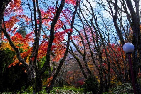 Amaroo Guesthouse - Accommodation Asia 2