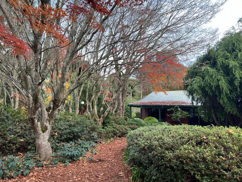 Amaroo Guesthouse - Accommodation Asia 1