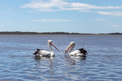 Amazing Ansons Bay Remote Paradise For The Family In The Bay Of Fires Area - Accommodation Asia 2