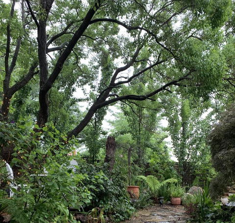 Ananda Cottage - Accommodation Guide 0