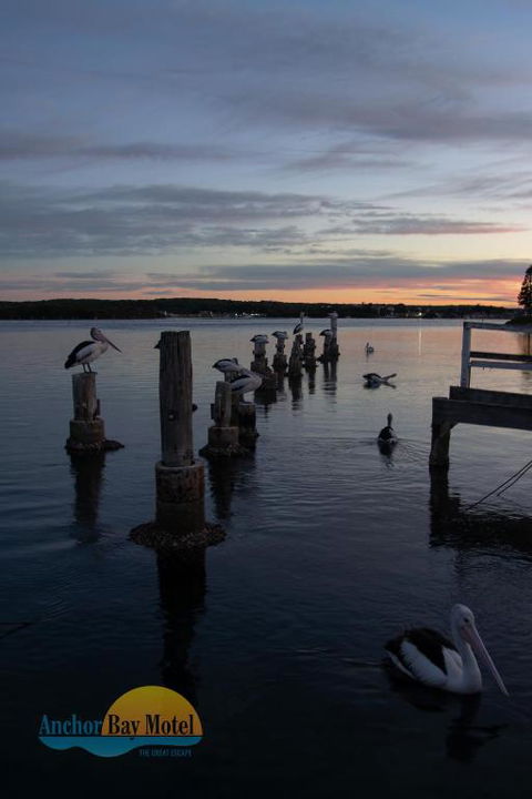 Anchor Bay Motel - Accommodation Guide 3