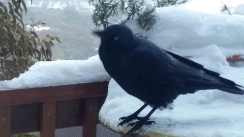 Aneeki Ski Lodge - Accommodation Guide 1