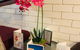 Anna Bella Motel Glen Innes - thumb 4
