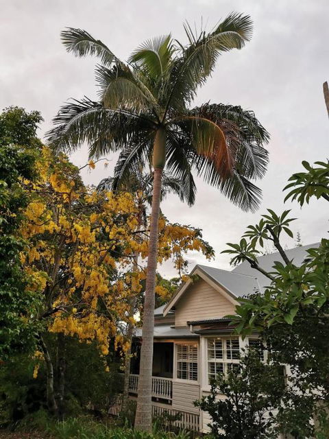 Arcadia House - Accommodation Guide 3