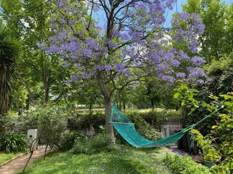 Art House On The Park - Accommodation Guide 4