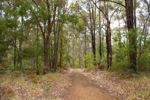 Ashleigh - In Town - Margaret River - Accommodation Guide 4