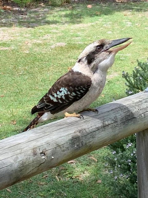 At Melaleuca 3 - Accommodation Asia 4