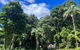 Avana Byron Glamping - thumb 2