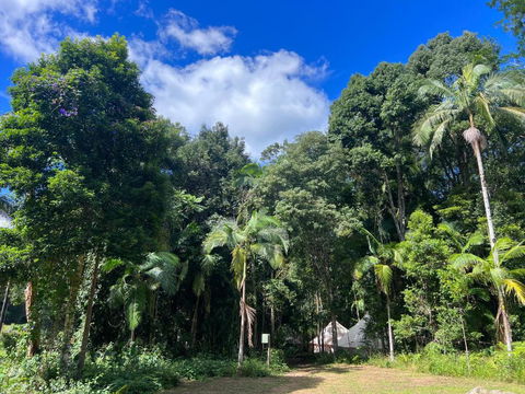 Avana Byron Glamping - Accommodation Guide 2