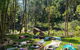 Avana Byron Glamping - thumb 3