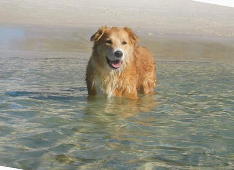 Away Nelson Bay, 29 Wollomi Ave - Spacious Family Home With Water Views, Pet Friendly, Wifi & Aircon - Accommodation China 2