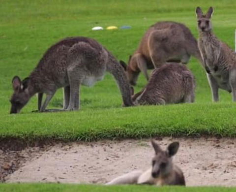 B & B On The Water - Accommodation Guide 3