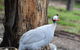 Bairnsdale - Granite Creek Stays - thumb 1