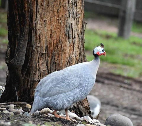 Bairnsdale - Granite Creek Stays - Accommodation Asia 1